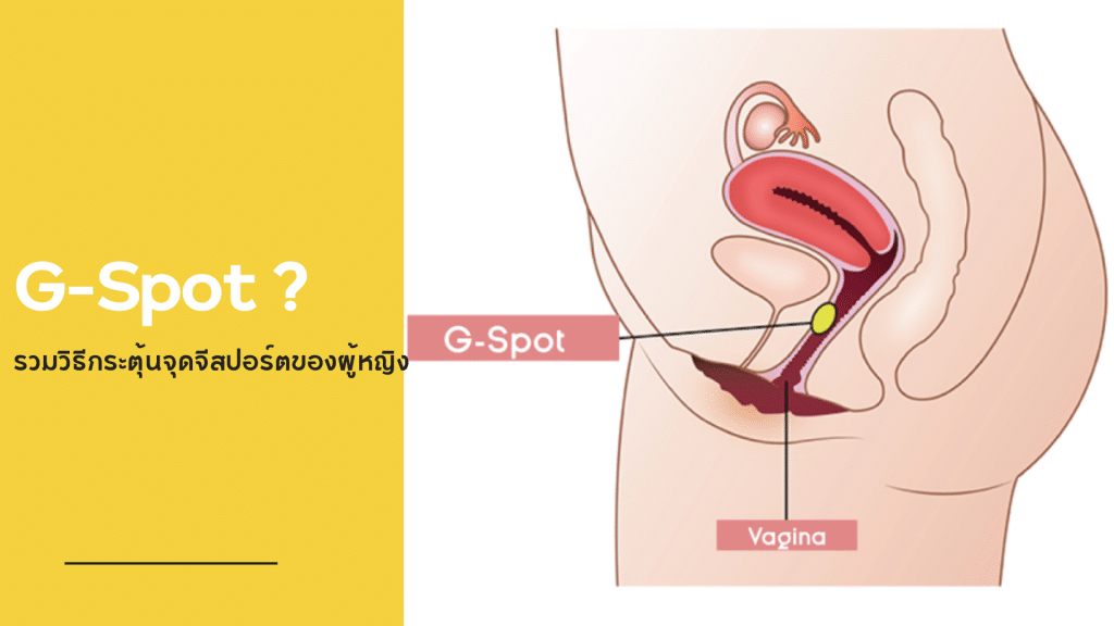 จุด G-Spot คืออะไร